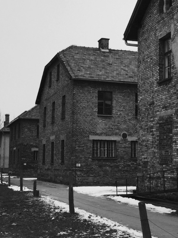 Holocaust Educational Trust S Lessons From Auschwitz Royal High